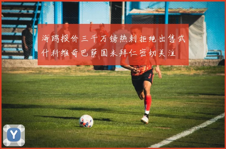 海鸥报价三千万镑热刺拒绝出售武什科维奇巴萨国米拜仁密切关注