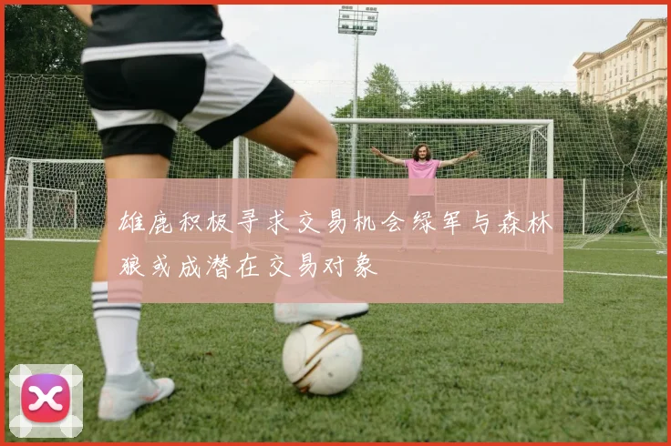 雄鹿积极寻求交易机会绿军与森林狼或成潜在交易对象